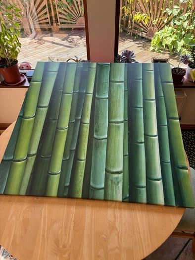Large Bamboo Canvas Picture