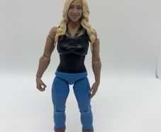 wwe custom Charlotte Flair action figure