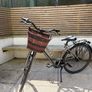 Ladies Bike Image 2