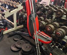 bench-weights-bars