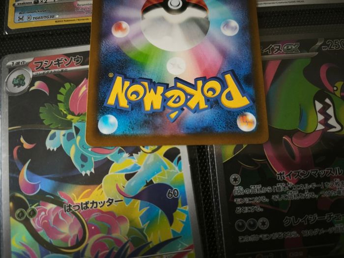 Veluza ! Illustration Rare ! from Ancient Roar Set ! 2023 ! Japaense Pokemon Card !