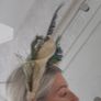 fascinator Image 3