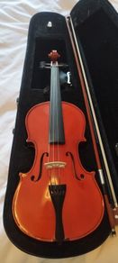 Viola