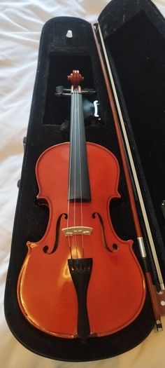 Viola