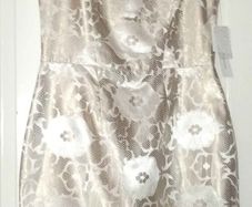 Ladies Dress