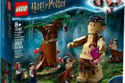 lego Harry Potter Forbidden Forest