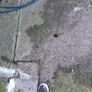 free petrol lawnmower Image 4