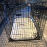 Xl dog crate with bedding Image 2