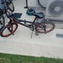 Kids bmx Image 4