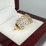 Silver Harry Ivens Morganite & Zircon Cluster Ring Image 5