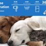 BreezyPaws Pet Dog Cat Paw Trimmer Hair Shaver Grooming Clippers with LED Light Spare Blades Low Noise Waterproof Rechargeable Paw Trimmer Clippers Shaver Razor for Dogs Cats Paws Eyes Ears Face Image 9