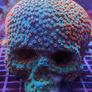 Coral Encrusted Skull 3D Printed Image 2