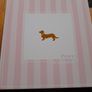 Peter Alexander girls shortie PJ set s/s14 Image 4