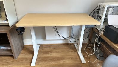 SANODESK Electric Standing Desk, 110 x 54cm, Height Adjustable, Maple