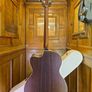 Avalon S30c BZ 2026 Bouzouki Image 2