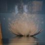 glass splashback Image 2