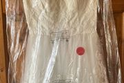 Occasion Dress / Bridal Dress