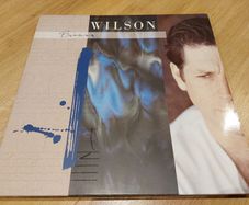 Brian Wilson (beach Boys) - Self Titled Solo Album - Vinyl Record