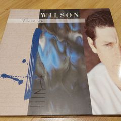 Brian Wilson (beach Boys) - Self Titled Solo Album - Vinyl Record