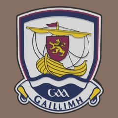 Galway GAA Crest Lightbox