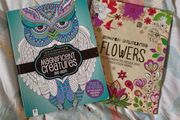 Therapeutic Colouring Books x 2
