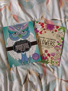 Therapeutic Colouring Books x 2
