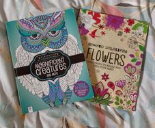 Therapeutic Colouring Books x 2