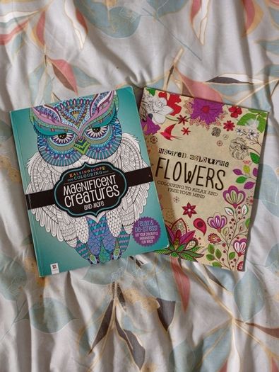Therapeutic Colouring Books x 2