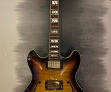 D'Angelico Excel DC