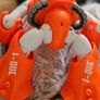 Kids Interactive Robot Toy Image 4