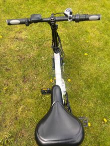 Fiido 2DS Folding Electric Bike