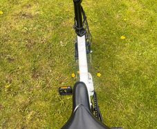 Fiido 2DS Folding Electric Bike