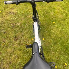Fiido 2DS Folding Electric Bike