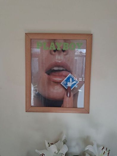 Playboy Magazine Cover Poster in Wooden Frame