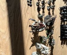 Warhammer AOS and fantasy