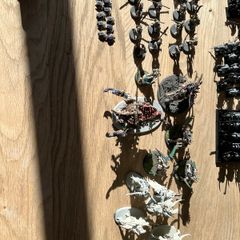 Warhammer AOS and fantasy