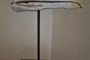 1/1 resin copy of a albatross skull. On display stand.