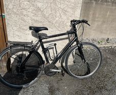 Adult Bike
