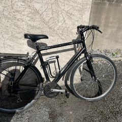 Adult Bike