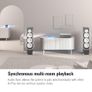 Eve Play (Apple Home)  Audio Streaming Interface for AirPlay Image 4