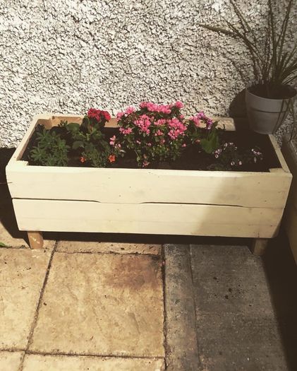 XL Planters