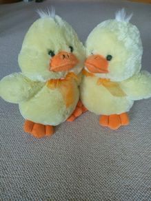 Soft Toys Chicks