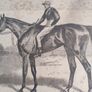 Old Framed Print Of The Late Fred Archer On Minting By John Beer. Image 5