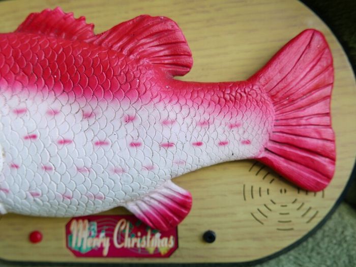 Rock King Tommy the xmas singing fish