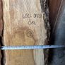 Slab of Oak Image 4