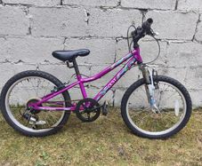 20 inch girls bike