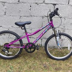 20 inch girls bike