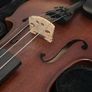 Violin Image 5