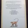 Book: The World of Animals (postage included) Image 2
