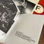 Idles Live at Le Bataclan Double album Image 2